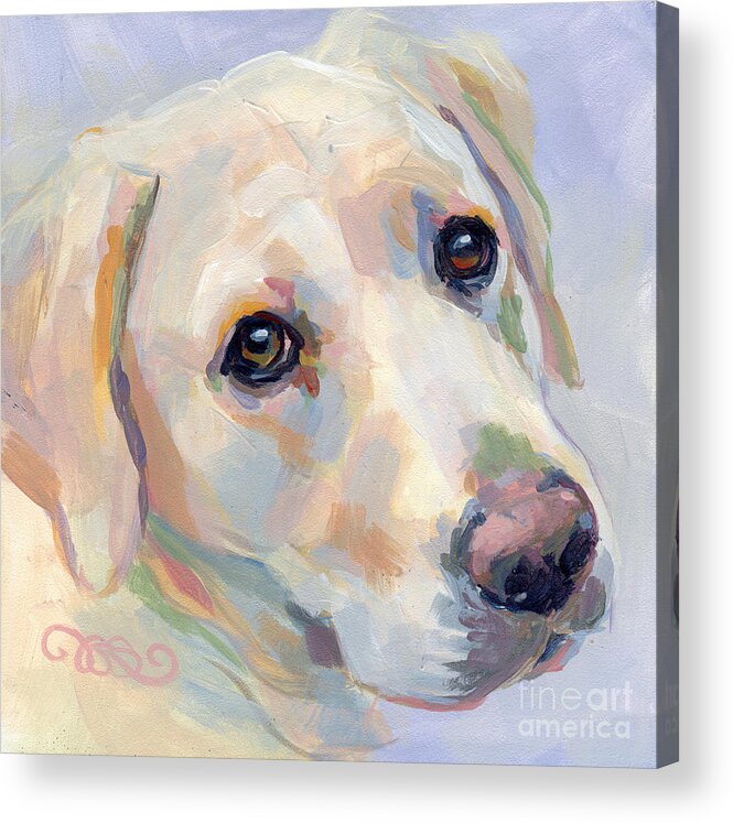 Yellow Lab Acrylic Print featuring the painting Young Man by Kimberly Santini