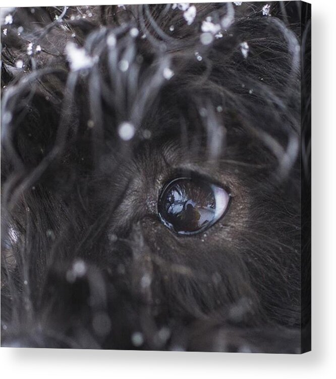 Life Acrylic Print featuring the photograph Your Eyes Don't Have To Be Open To See by David Haskett II