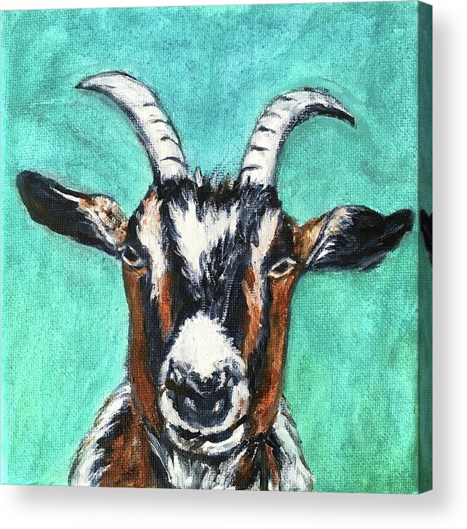 Mountain Goat Acrylic Print featuring the painting You've got to be kidding.... by Bonnie Peacher