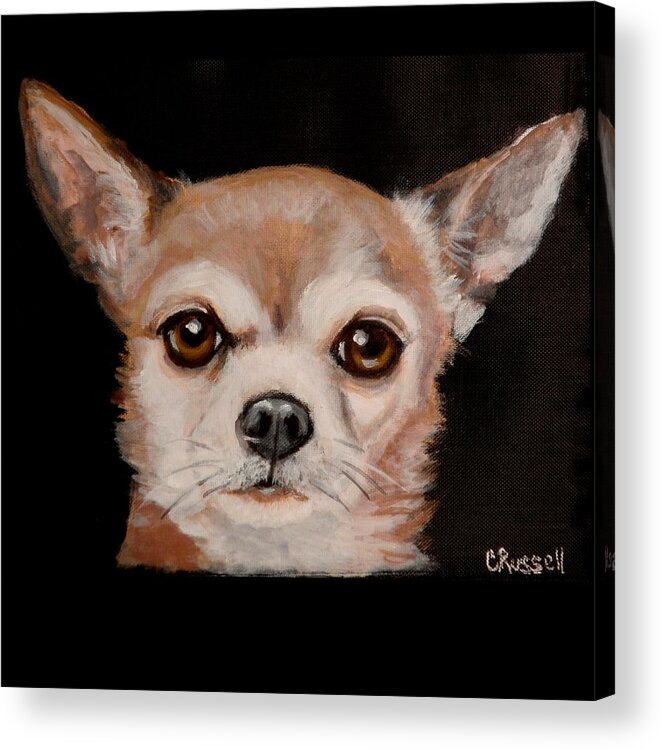 Chihuahua Acrylic Print featuring the painting Ziggy 2 by Carol Russell