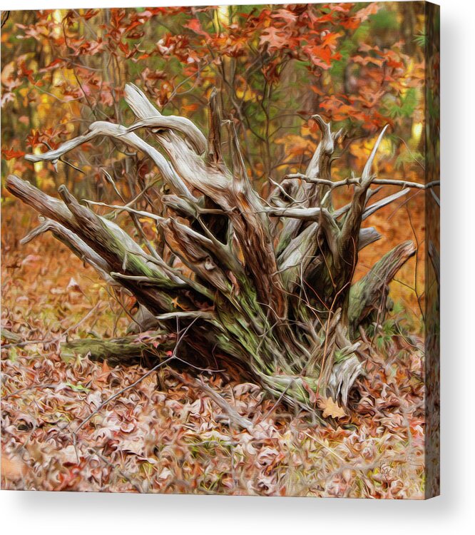 Roots Acrylic Print featuring the digital art Autumn by George Pennington
