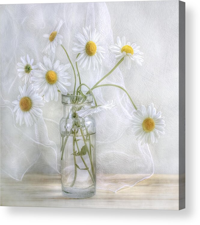 Daisy Acrylic Print featuring the photograph Daisies #1 by Mandy Disher