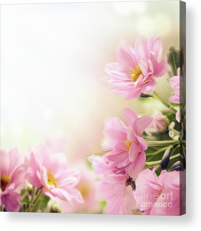 Flower Acrylic Print featuring the photograph Garden with pink flowers by Jelena Jovanovic
