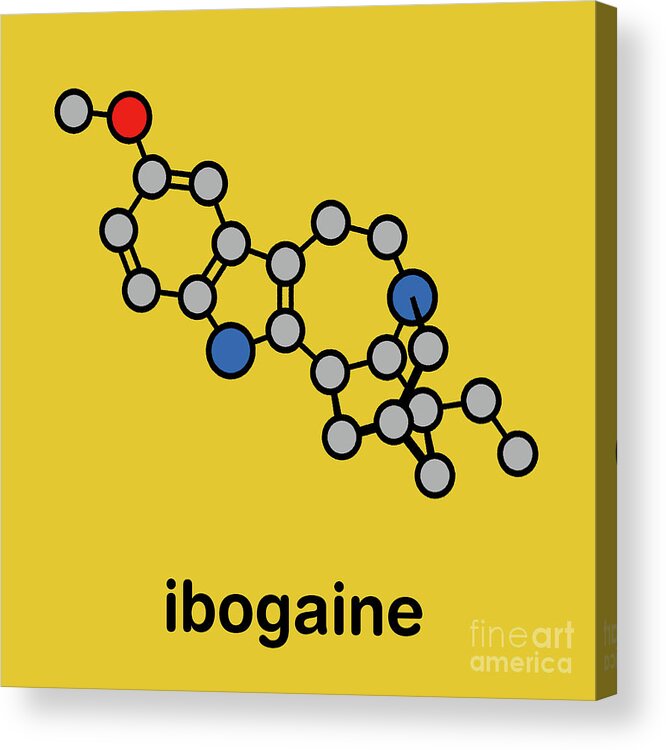 Ibogaine Acrylic Print featuring the photograph Ibogaine Alkaloid Molecule #1 by Molekuul/science Photo Library