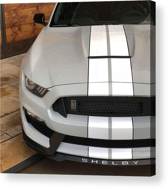 Car Mustang Gt350 Acrylic Print featuring the photograph Mustang GT350 #1 by Rocco Silvestri
