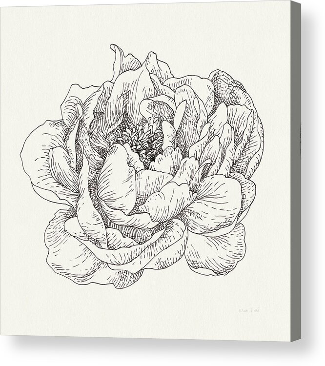 Black And White Acrylic Print featuring the painting Pen And Ink Florals V #1 by Danhui Nai