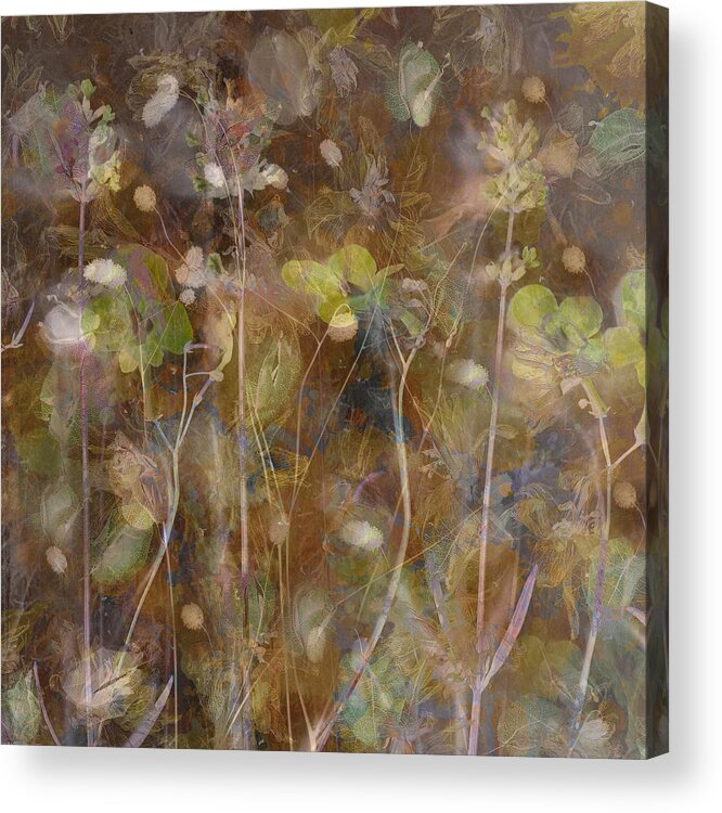 Flower Acrylic Print featuring the photograph Summer Pastel #1 by Saskia Dingemans