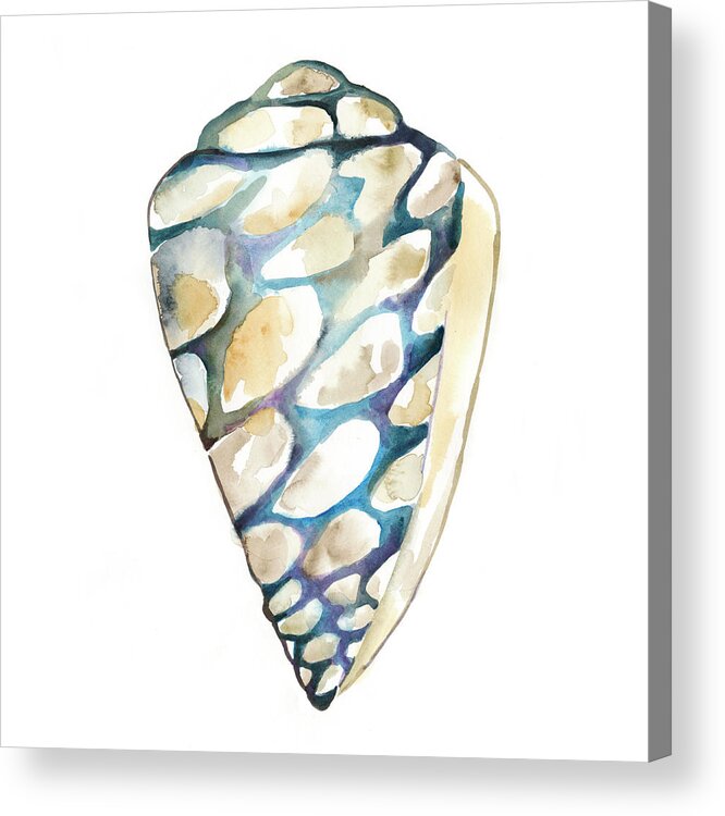 Coastal & Tropical Acrylic Print featuring the painting Aquarelle Shells IIi #2 by Chariklia Zarris
