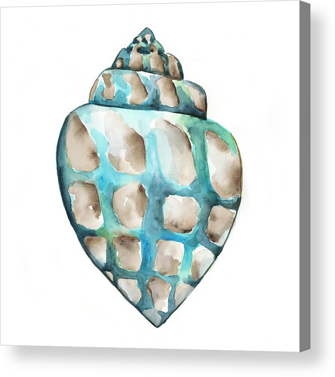Coastal & Tropical Acrylic Print featuring the painting Aquarelle Shells V #2 by Chariklia Zarris