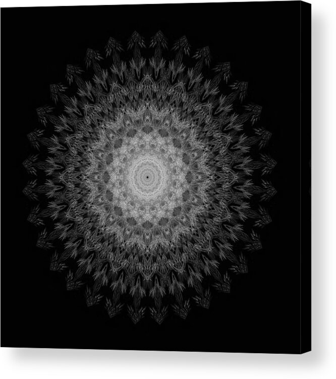 Mandala Acrylic Print featuring the photograph Mandala #2 by Lotte Grnkjr