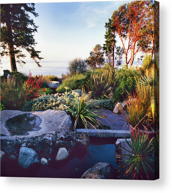 Outdoors Acrylic Print featuring the photograph Dan Hinkley Garden #3 by Richard Felber