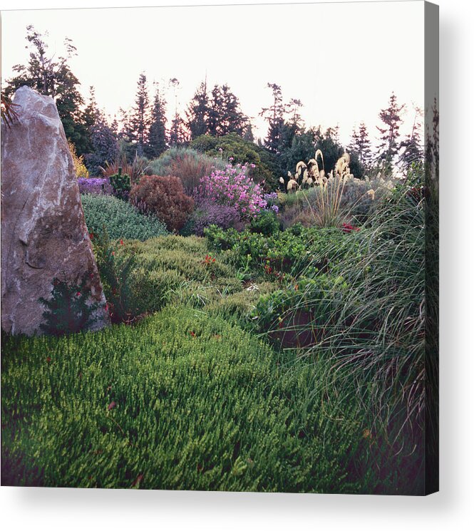 Grass Acrylic Print featuring the photograph Dan Hinkley Garden #4 by Richard Felber