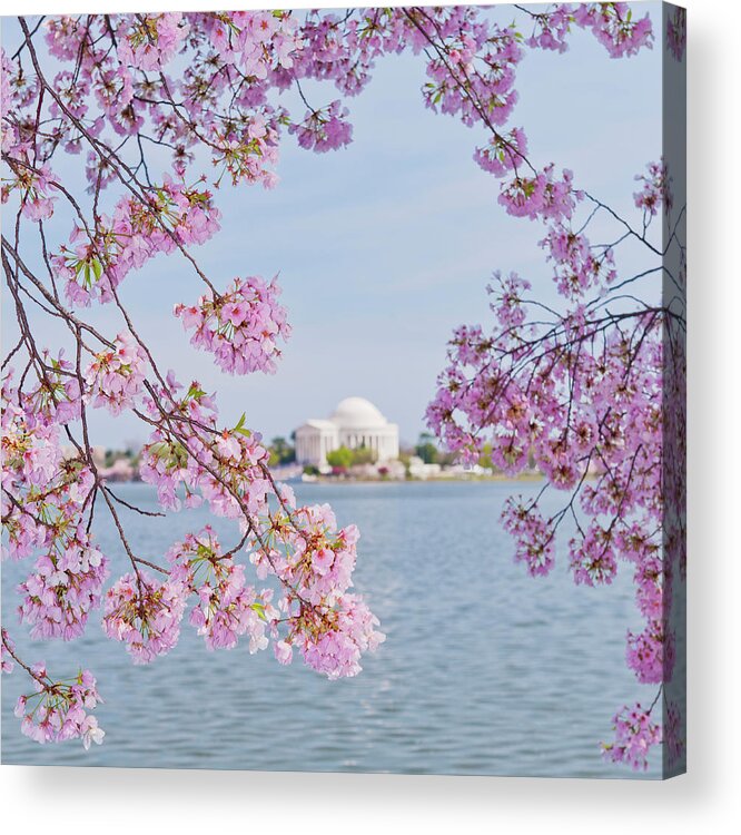 Scenics Acrylic Print featuring the photograph Usa, Washington Dc, Cherry Tree In #5 by Tetra Images