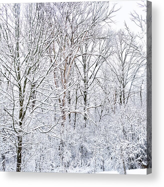 Winter Acrylic Print featuring the photograph Winter Wonderland #5 by Nick Mares