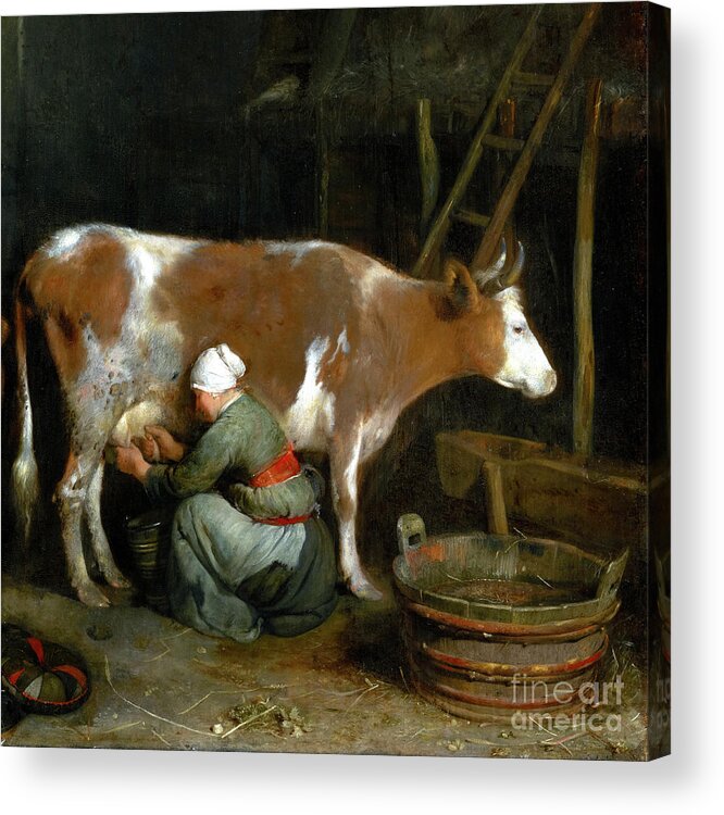 Gerard Ter Borch Acrylic Print featuring the painting A Maid Milking a Cow in a Barn by Audrey Jeanne Roberts