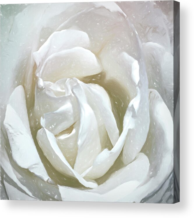  Acrylic Print featuring the digital art A Rose is a Rose by Cindy Greenstein