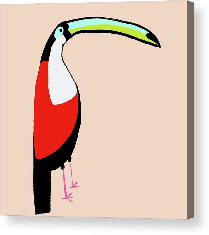 Toucan Acrylic Print featuring the photograph Abstract Toucan by Sundance B