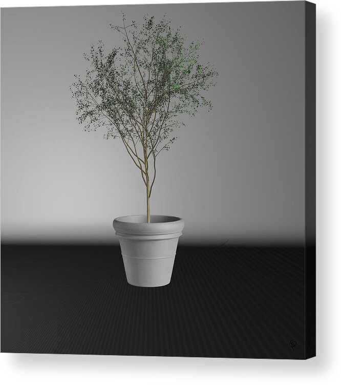 Wall Art Acrylic Print featuring the digital art Acer maximowiczian by George Pennington