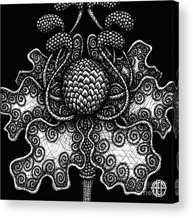 Boho Acrylic Print featuring the drawing Alien Bloom 18 Black and White by Amy E Fraser