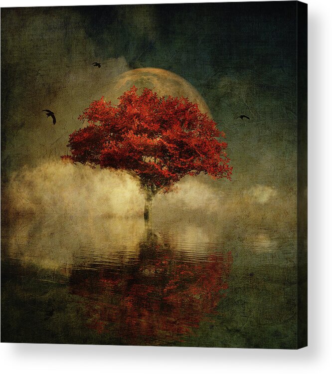 Autumn Acrylic Print featuring the digital art American Oak with full moon by Jan Keteleer