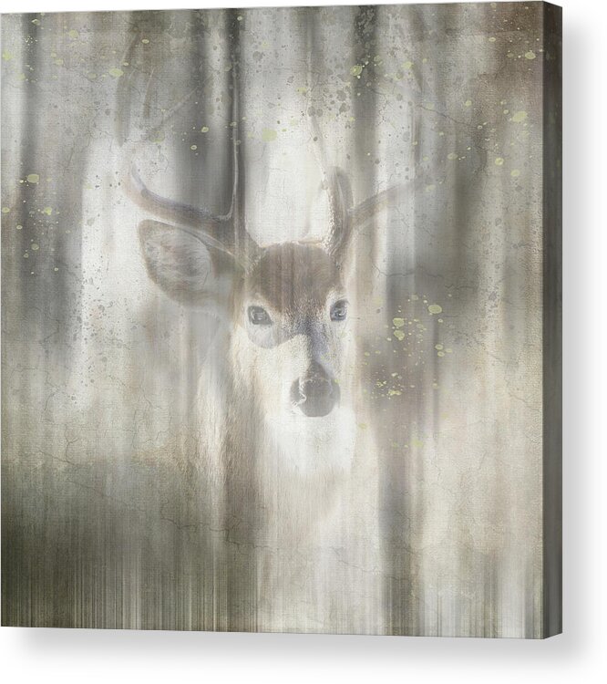 Antique Wildlife Deer 01 Acrylic Print featuring the mixed media Antique Wildlife Deer 01 by Lightboxjournal