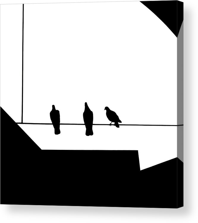 Pigeons Acrylic Print featuring the photograph Approach by Klaus Lenzen