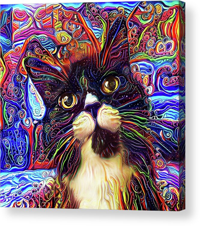 Tuxedo Cat Acrylic Print featuring the digital art Armani the Tuxedo Cat by Peggy Collins