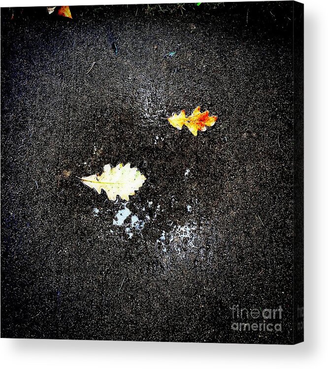 Leaves Acrylic Print featuring the photograph Autumn Puddle Reflection by Frank J Casella