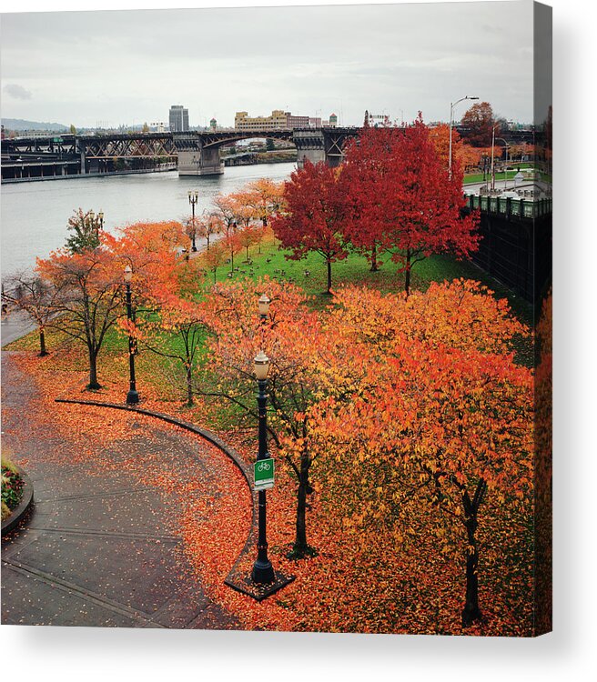 Tranquility Acrylic Print featuring the photograph Autumnal Trees In Downtown Portland by Danielle D. Hughson