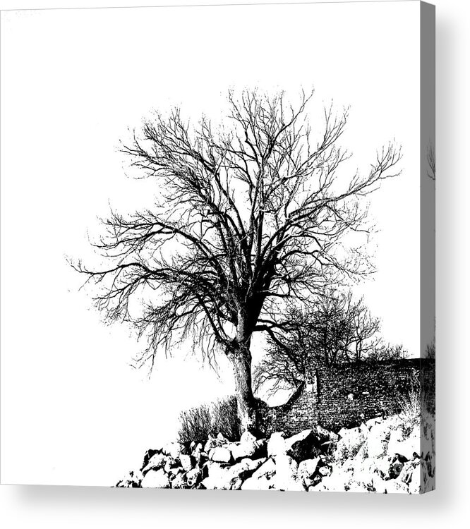 Barren Acrylic Print featuring the photograph Barren by Mark OConnell