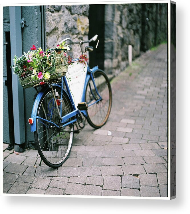 Tranquility Acrylic Print featuring the photograph Basket Of Flowers On Old Blue Bicycle by Ailbhe O'donnell