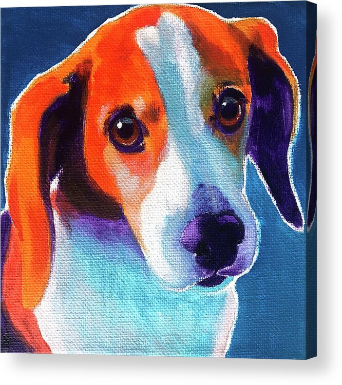 Beagle - Chase Acrylic Print featuring the painting Beagle - Chase by Dawgart