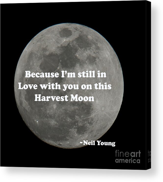 Harvest Moon Acrylic Print featuring the photograph Because I'm Still in Love with You - Neil Young by Dale Powell
