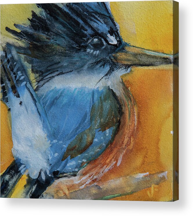 Belted Kingfisher Acrylic Print featuring the painting Belted Kingfisher by Jani Freimann