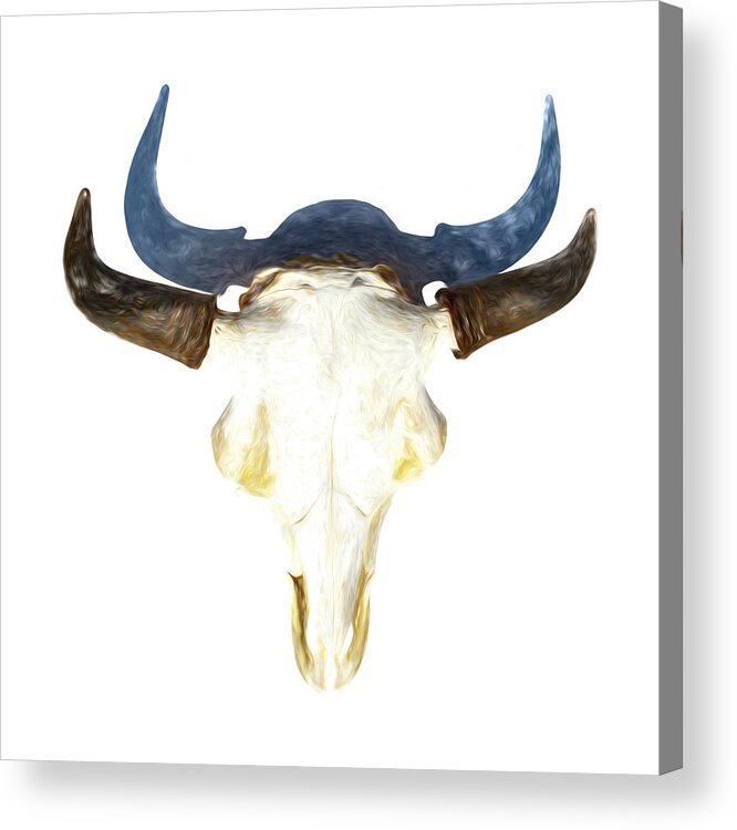 Kansas Acrylic Print featuring the photograph Bison Skull 003 by Rob Graham