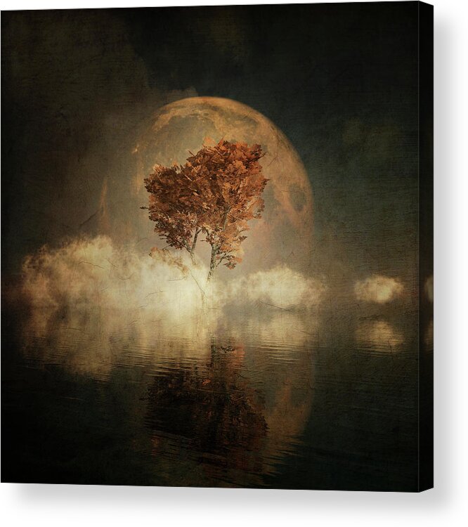 Autumn Acrylic Print featuring the digital art Black Ash with full moon in the mist by Jan Keteleer