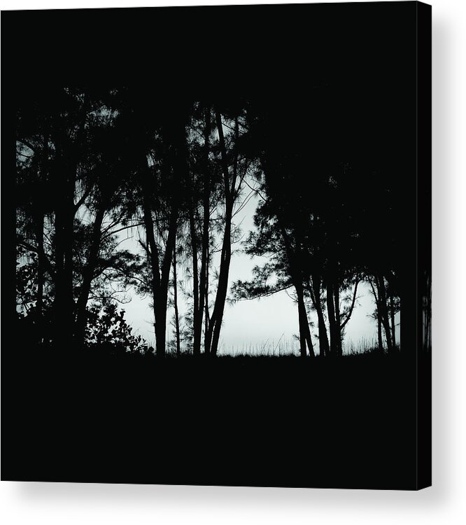 Forest Acrylic Print featuring the photograph Black Forest by Robert Stanhope