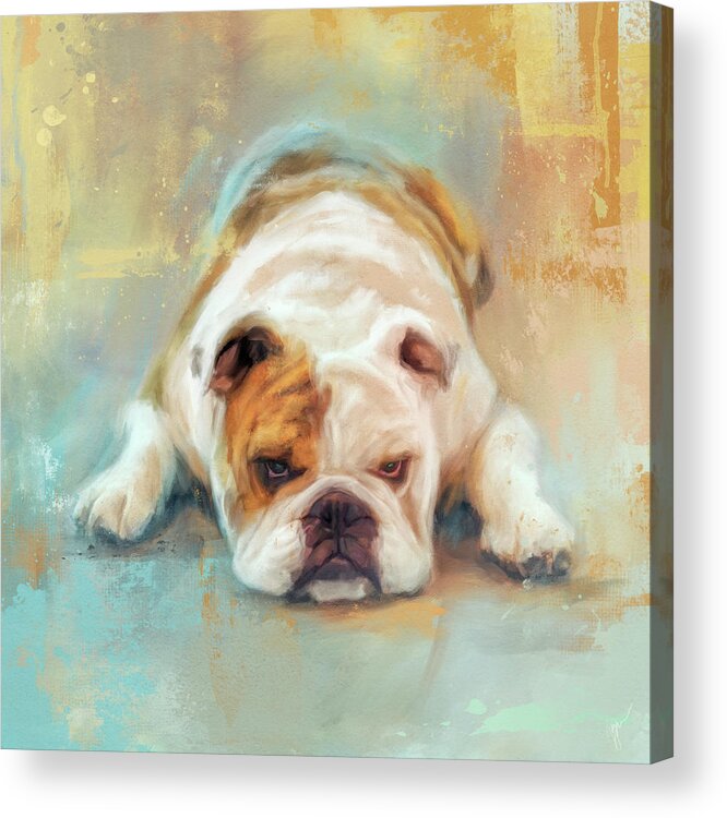 Colorful Acrylic Print featuring the painting Bulldog With The Blues by Jai Johnson