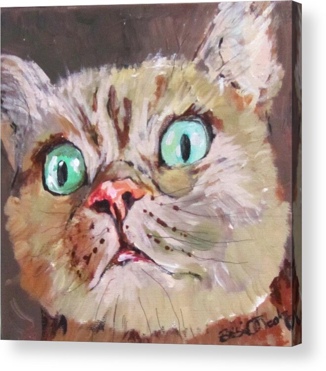 Cat Acrylic Print featuring the painting CAT What do you see by Barbara O'Toole