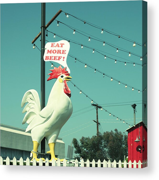 White Leghorn Acrylic Print featuring the photograph Chicken Says Eat Beef by Farukulay