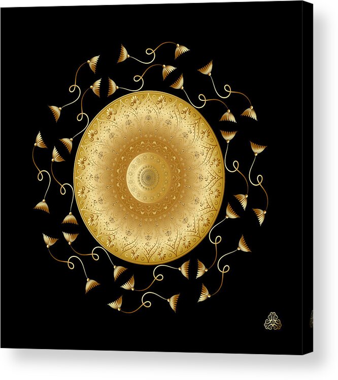 Mandala Acrylic Print featuring the digital art Circumplexical No 3969 by Alan Bennington