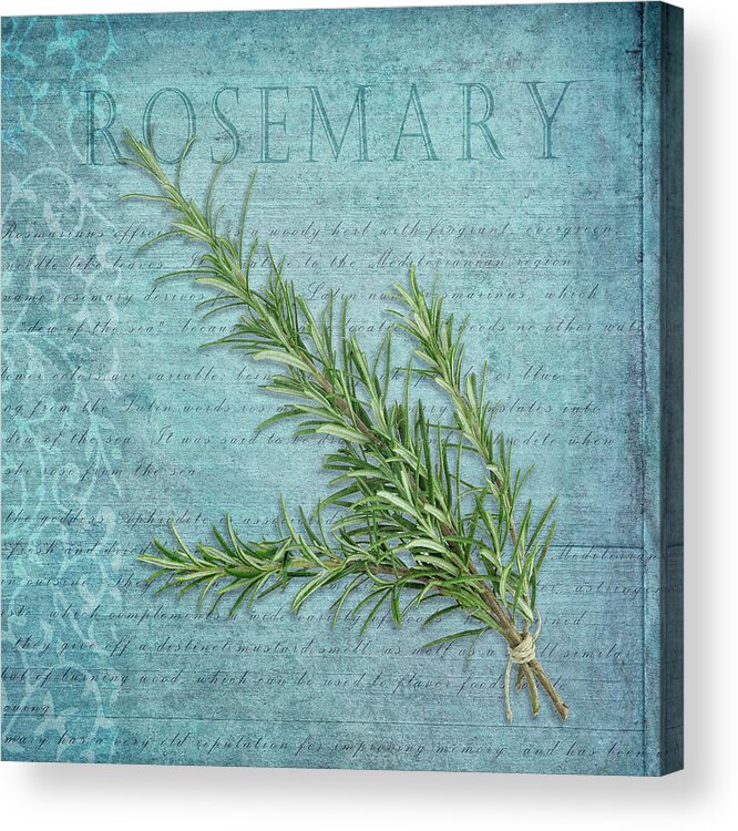 Classic Herbs Rosemary Acrylic Print featuring the photograph Classic Herbs Rosemary by Cora Niele