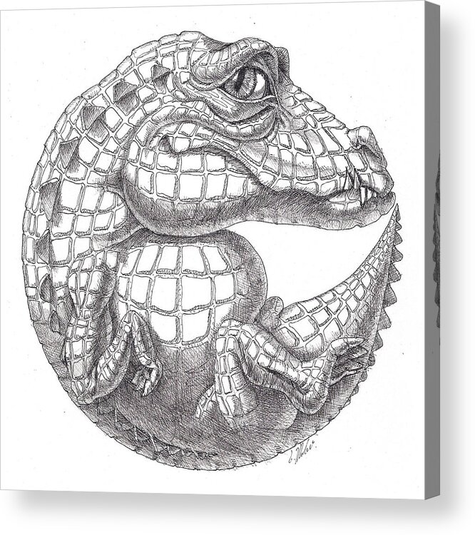 Figure Acrylic Print featuring the drawing Crocodile by Victor Molev