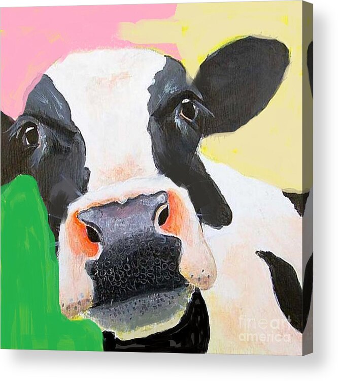 Cow Acrylic Print featuring the painting Curious Cow by Vesna Antic