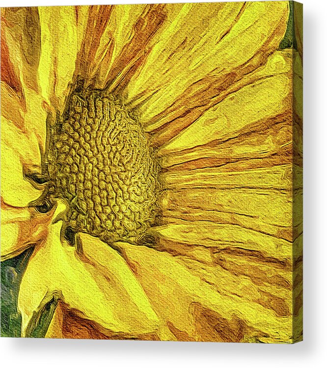 Yellow Daisy Acrylic Print featuring the photograph Daisy Gold by Jill Love