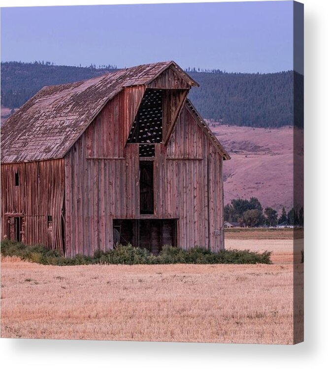 Weathered Barn Acrylic Print featuring the photograph Daylight through the Roof by E Faithe Lester
