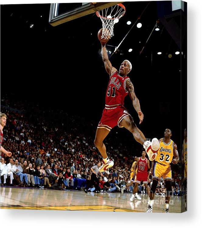 Chicago Bulls Acrylic Print featuring the photograph Dennis Rodman Rebound by Andrew D. Bernstein