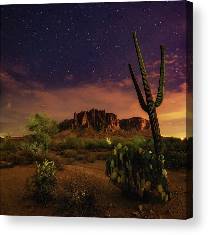 Desert Acrylic Print featuring the photograph Desert Beauty by Tassanee Angiolillo