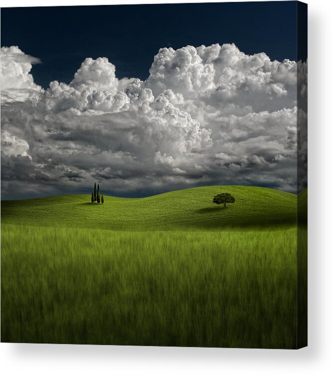 Grass Acrylic Print featuring the photograph Distant Thunder by Carlos Gotay
