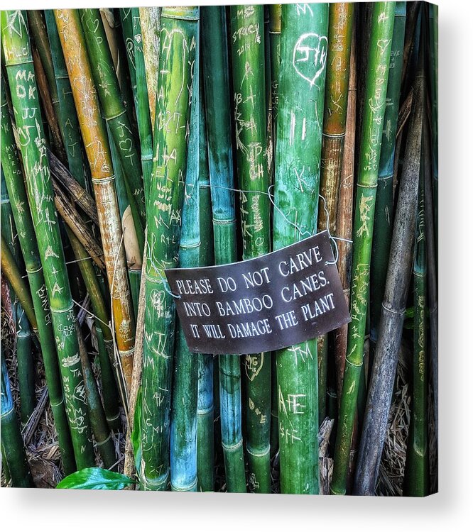 Bamboo Acrylic Print featuring the photograph Do Not Carve by Portia Olaughlin